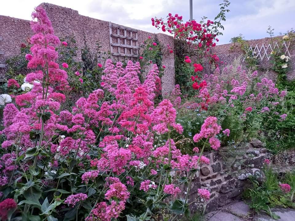 Introducing: The Wild&nbsp;Borders