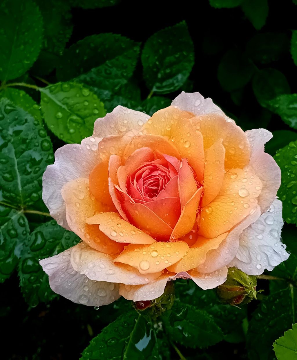 Highlights from a visit to Kew&nbsp;Gardens