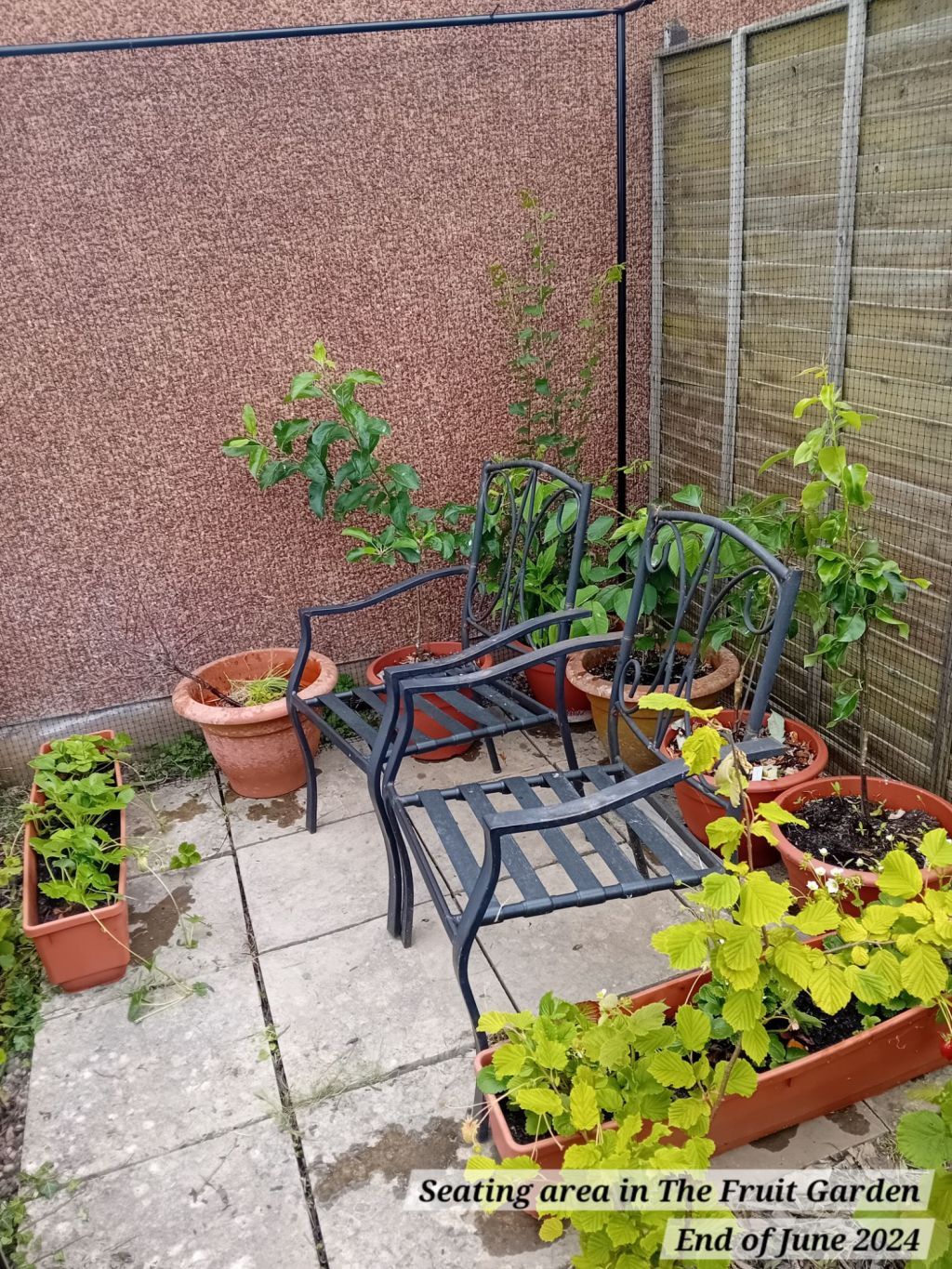 A new fruit cage and introducing a new area of the&nbsp;garden…