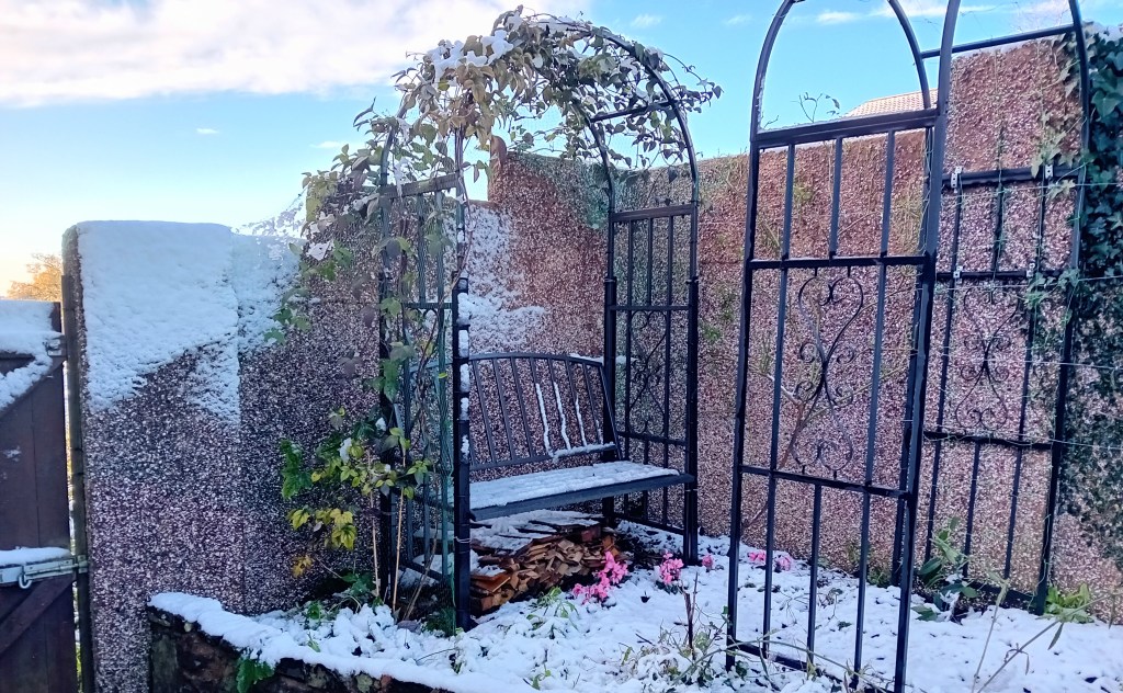 Is it Winter already? A blanket of snow, sheltering indoors from the frost and destructive storm&nbsp;Bert…