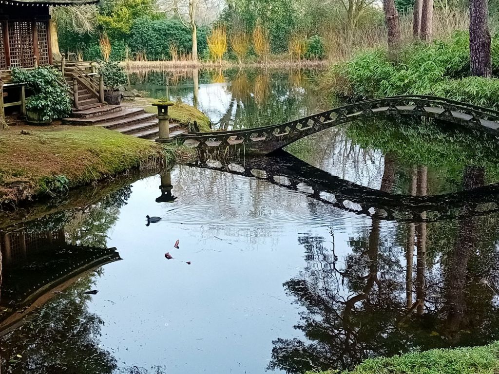 A Winter visit to the gardens at Tatton Park and the best Japanese&nbsp;garden