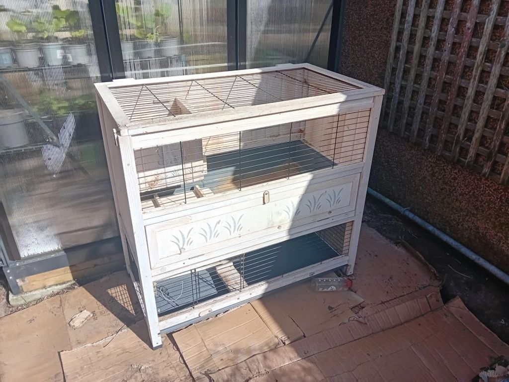 A new project in Teddy’s&nbsp;Garden