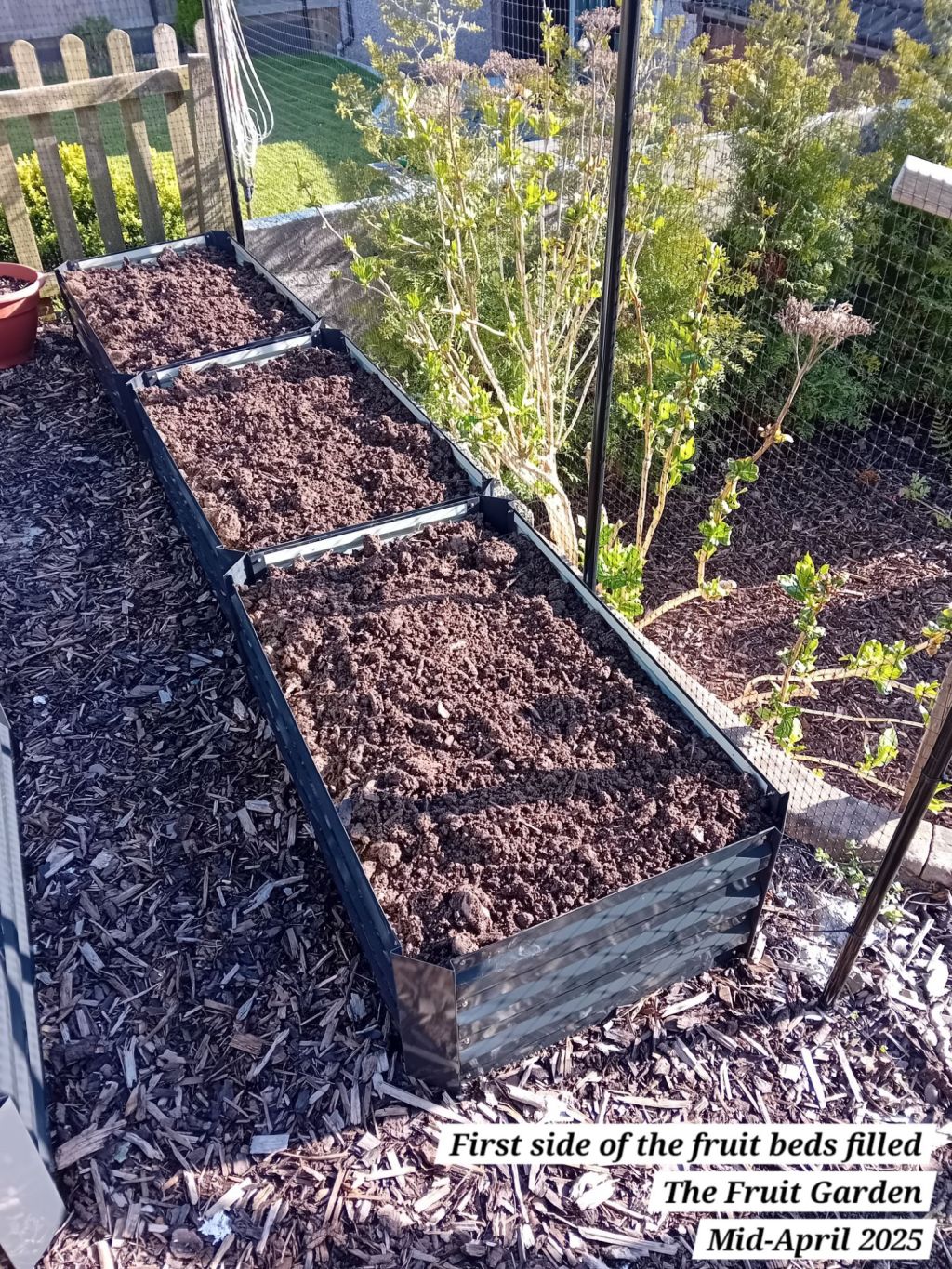 Potting on in The Greenhouse and more progress in The Fruit Garden and Teddy’s&nbsp;Garden