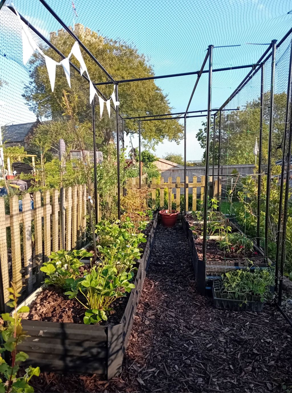 The Fruit Garden: planting out&nbsp;(finally)